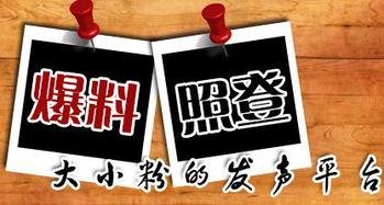 半仙最新爆料新闻,最新爆料新闻背后的惊人真相