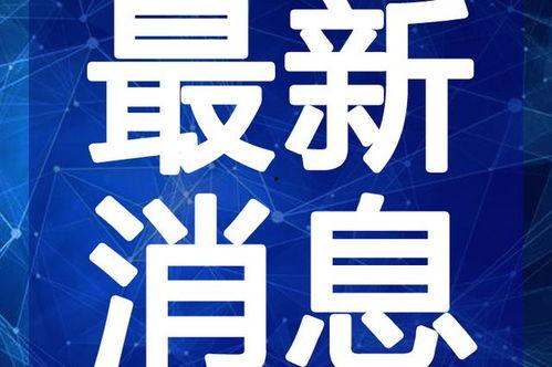太原二虎爆料视频最新,揭秘事件背后惊人真相